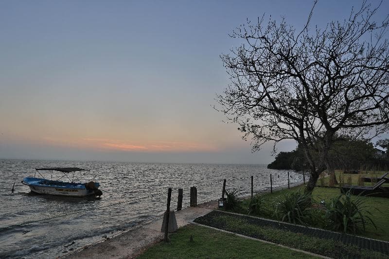Arie Lagoon 5