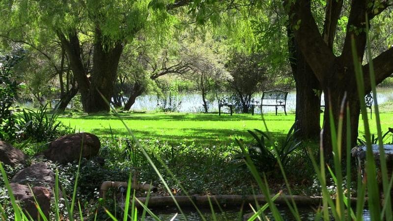 Budmarsh Country Lodge 3