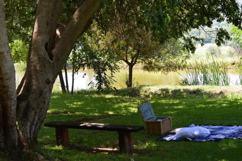 Budmarsh Country Lodge 4