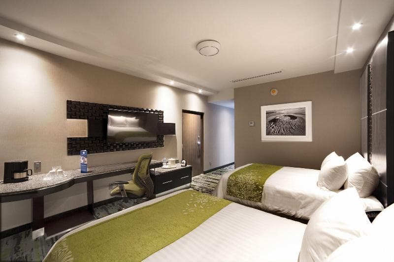 Hotel Araiza San Luis 5