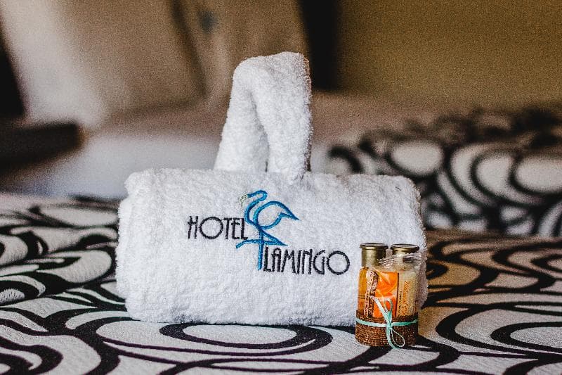 Hotel Flamingo Merida 3