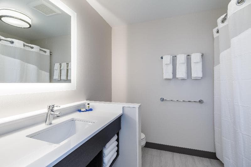 Holiday Inn Express & Suites South Bend - Casino 3