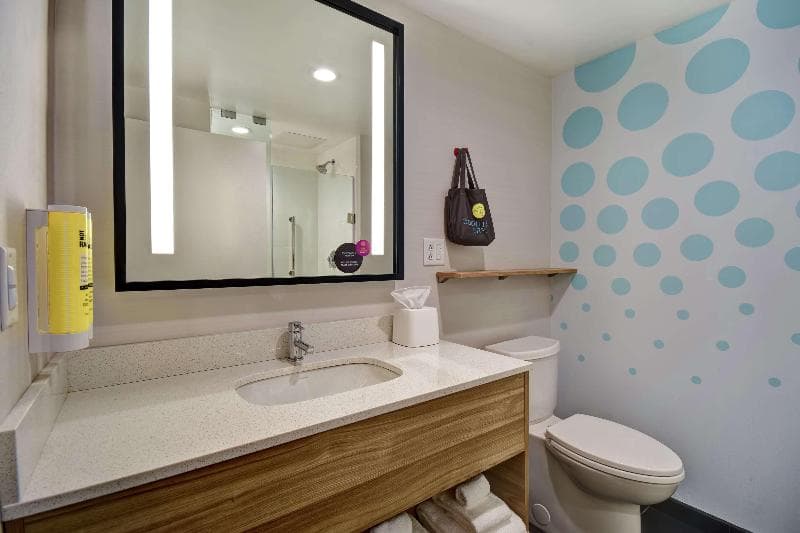 Tru by Hilton Syracuse-Camillus 4