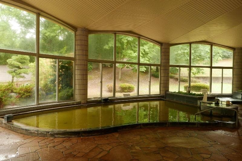 Kamenoi Hotel Kitsuregawa (Ex Kanpo No Yado Tochigi Kituregawa Onnsen) 2