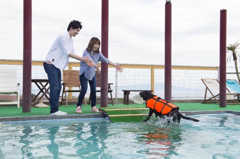 Izumigo Izukogen Dog Paradise Hotel main