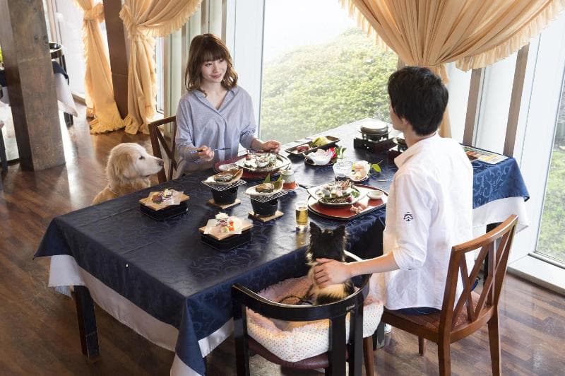 Izumigo Izukogen Dog Paradise Hotel 2