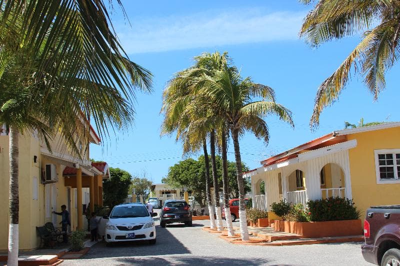 Coconut Inn 2
