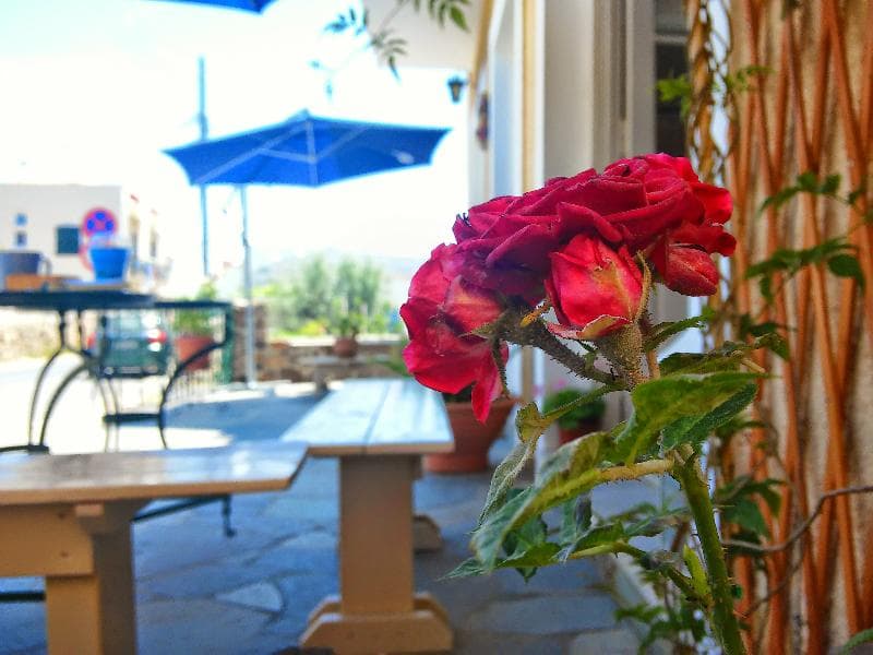 Hotel Aegina 5