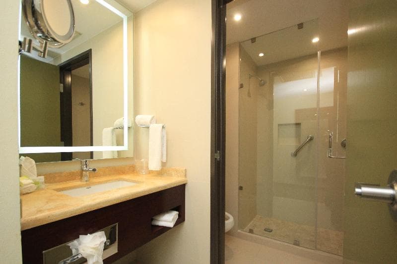 Holiday Inn Leon photo 1