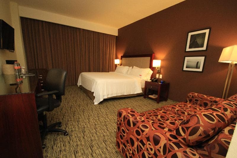 Holiday Inn Leon 4