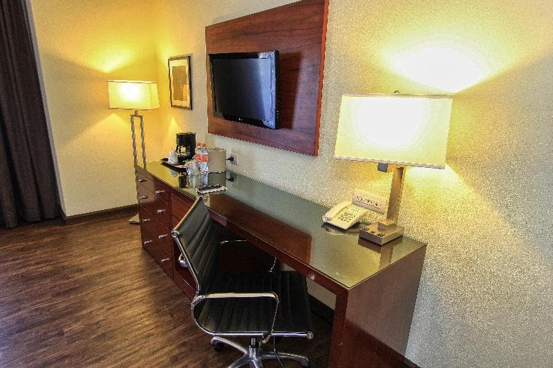 Holiday Inn Leon 5