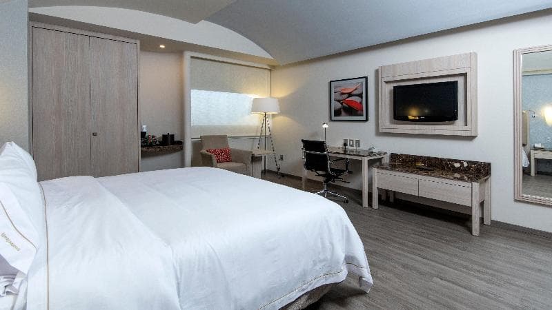 Holiday Inn Express Mexico - Toreo 4