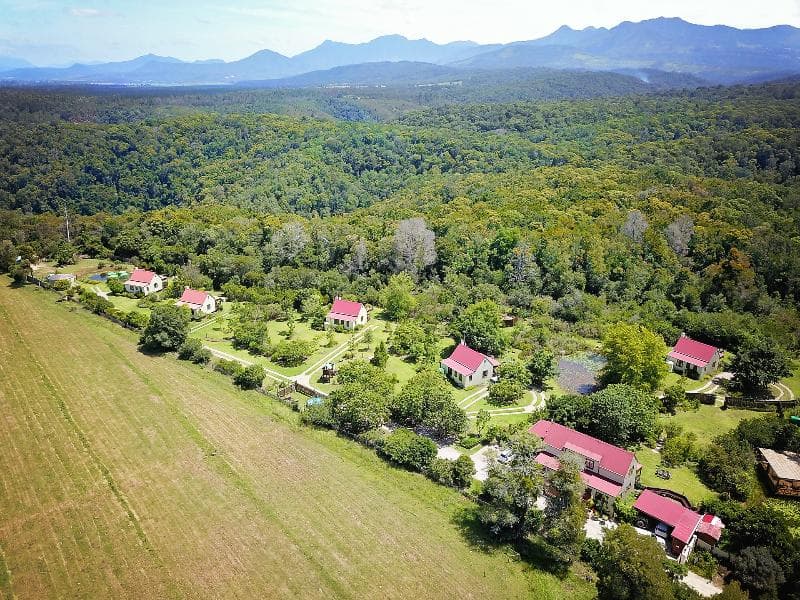 Forest Edge Nature Lovers' Retreat photo 1
