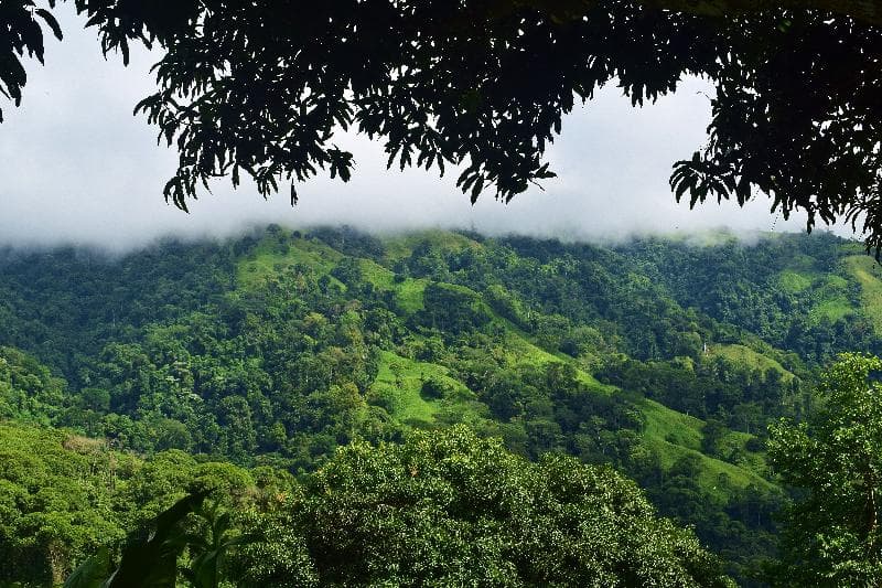 Santa Juana Lodge And Nature Reserve 2