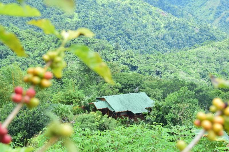 Santa Juana Lodge And Nature Reserve 4