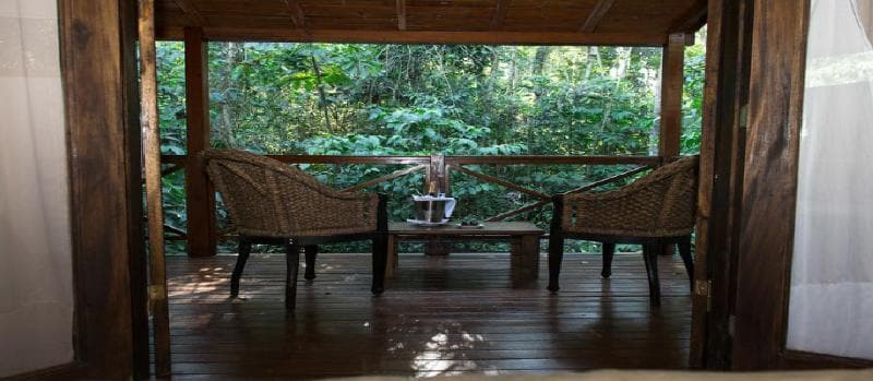 Selva de Laurel 4