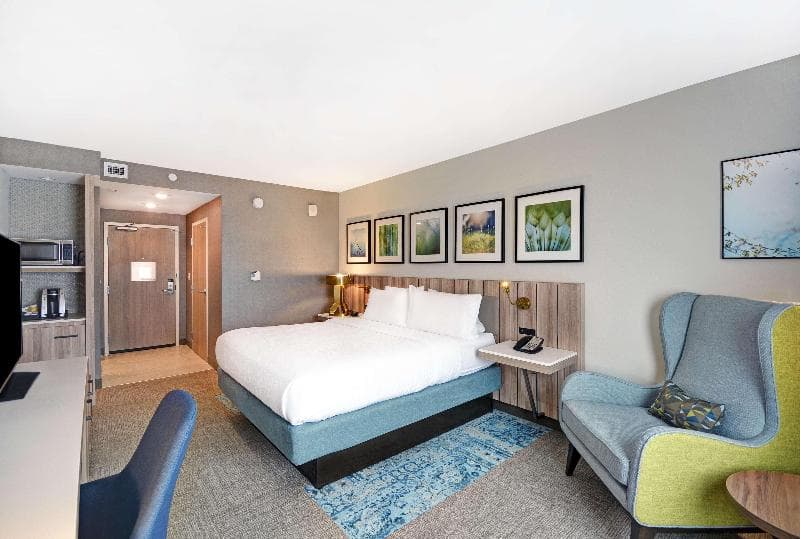 Hilton Garden Inn Houston Hobby Airport 4