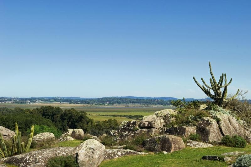 Fasano Punta Del Este 3