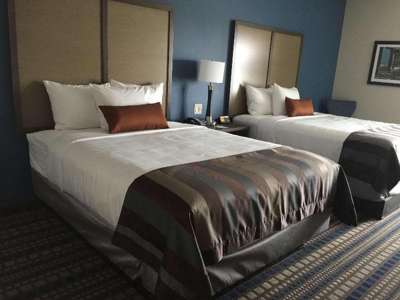 Wingate By Wyndham Corpus Christi 4