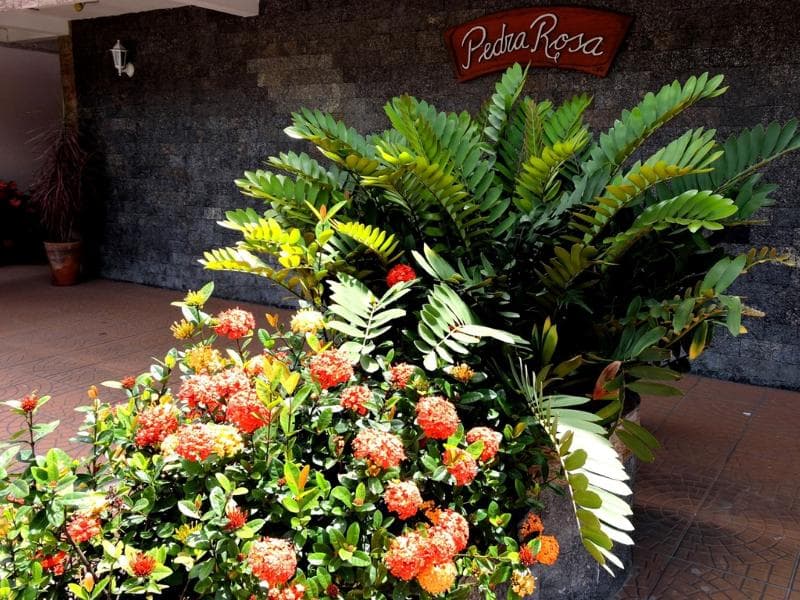 Pousada Pedra Rosa 3
