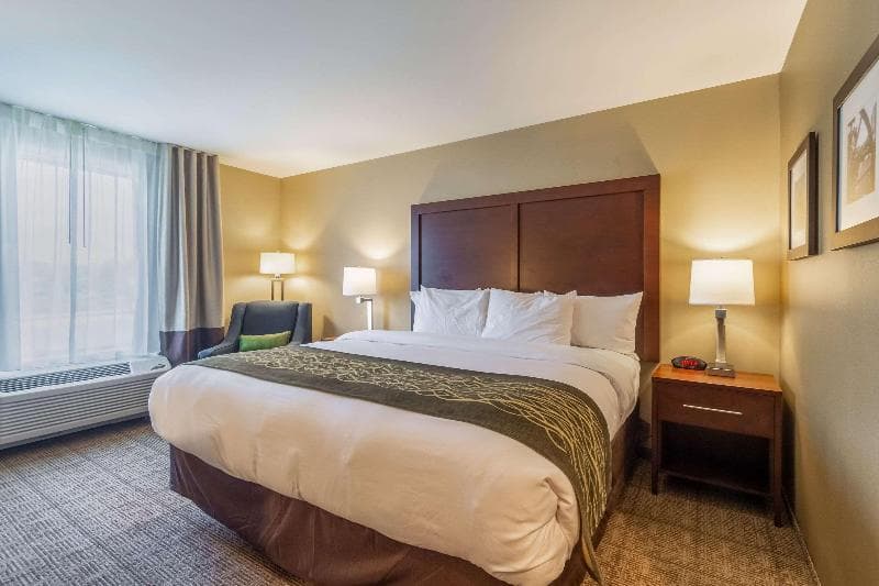 Comfort Inn & Suites - Harrisburg Airport - Hershey South photo 1