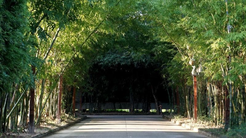 Bamboori Boutique Resort Chiang Mai 3