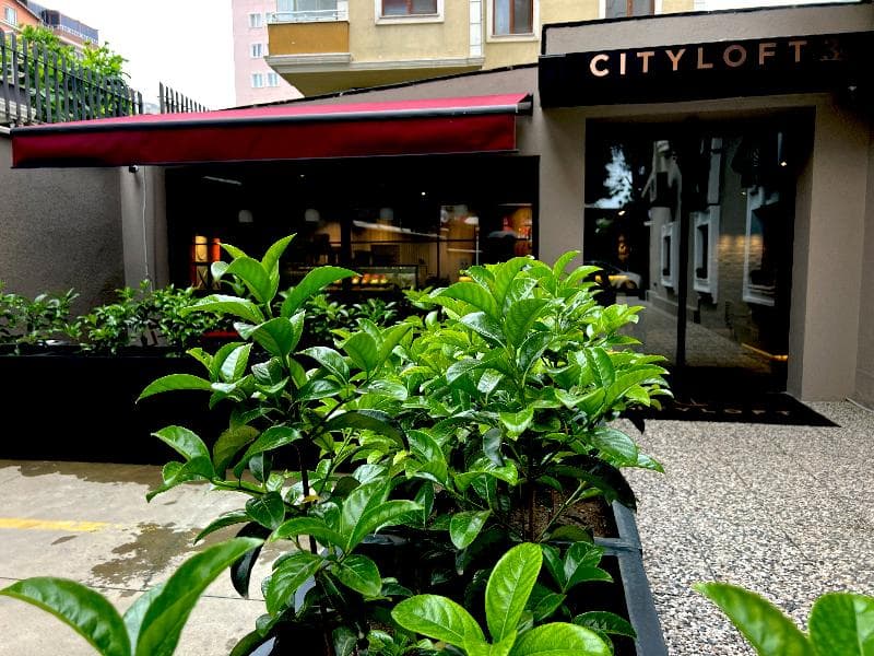 Cityloft 36 5