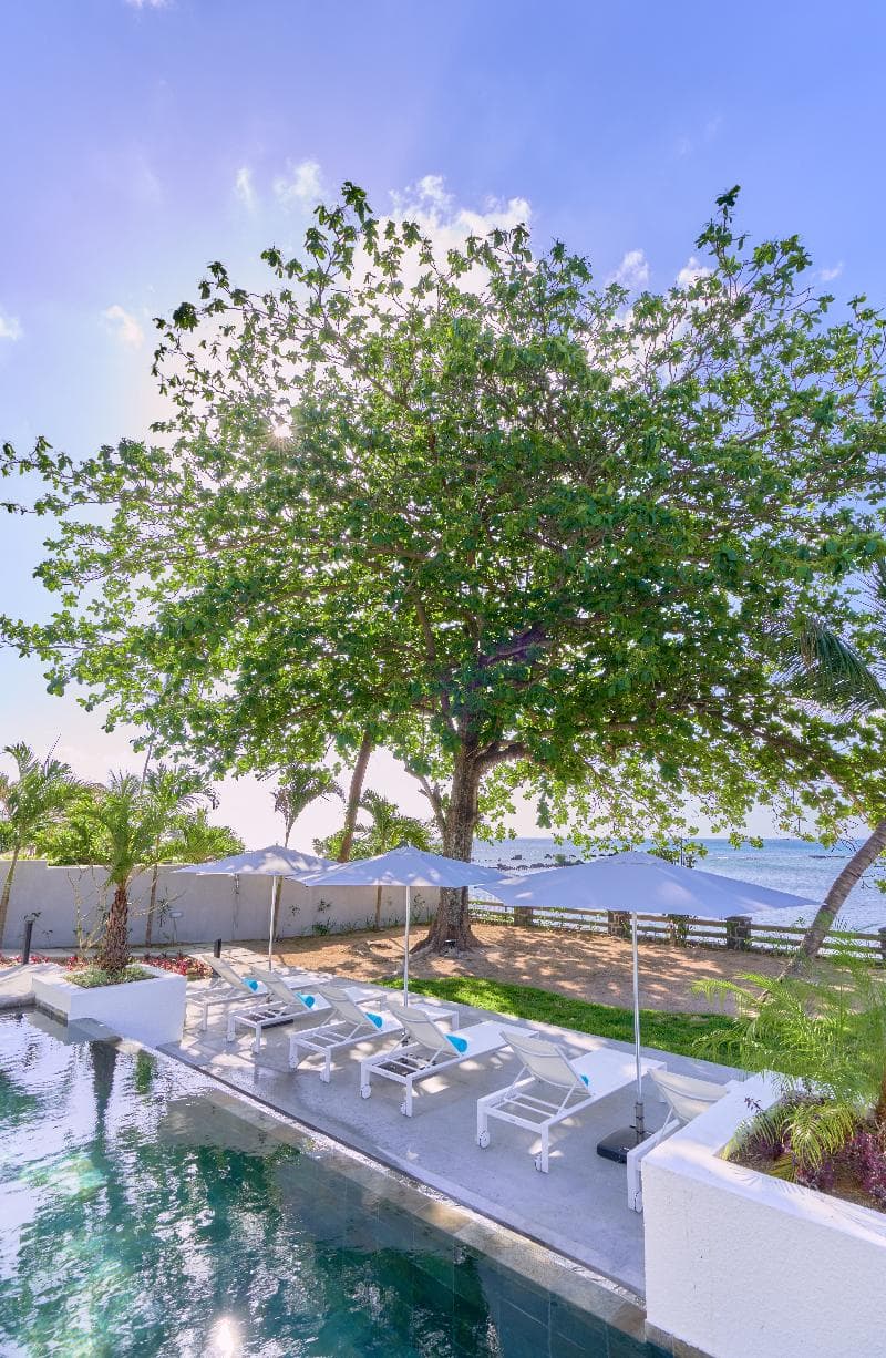 Les Estivales Beachfront Suites & Penthouses by LOV 3