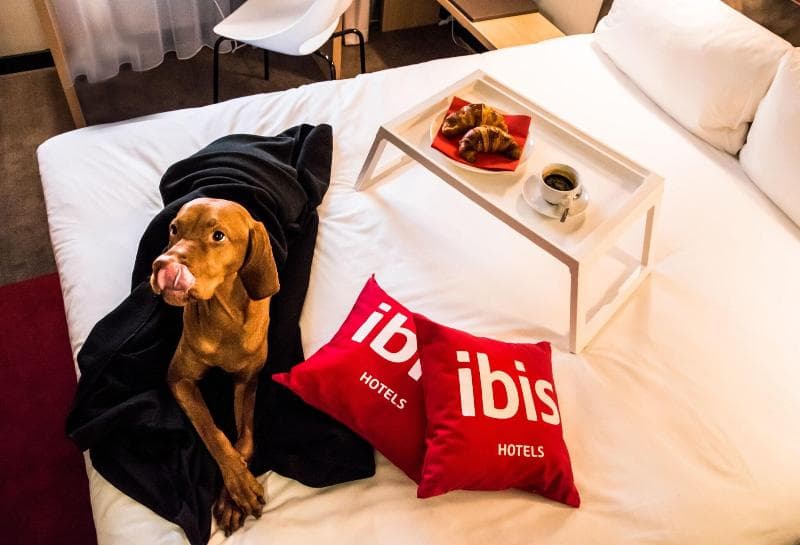 ibis Vilnius Centre 2