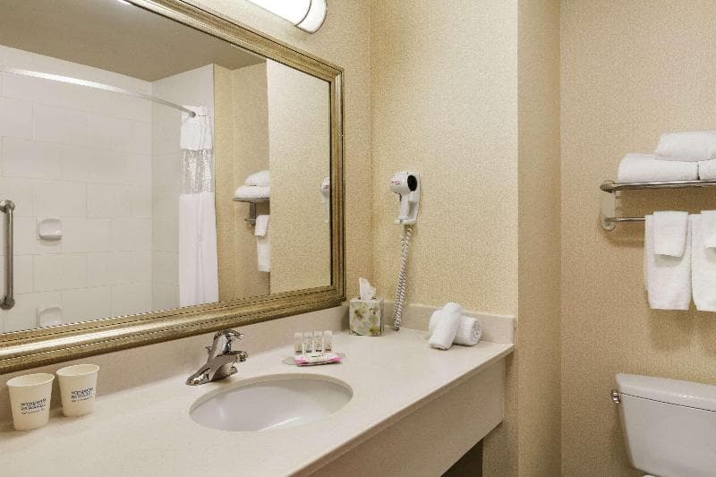 Days Inn & Suites By Wyndham Edmonton Airport 4