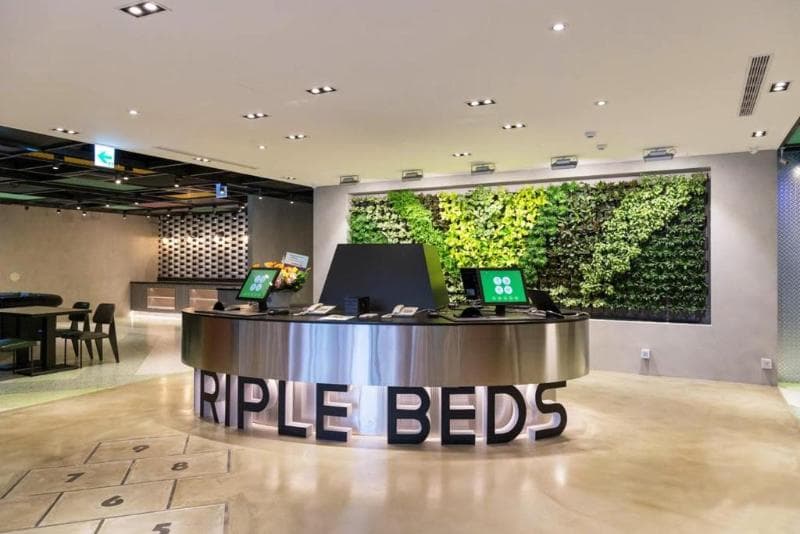 Green World Triplebeds 4