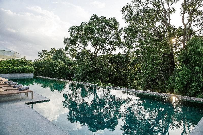 Treeline Urban Resort photo 1