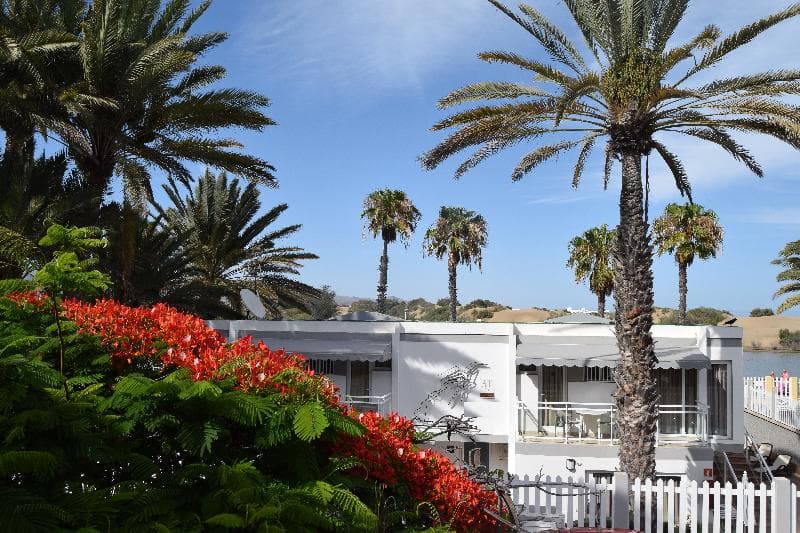 Apartamentos Dunaoasis Maspalomas photo 1