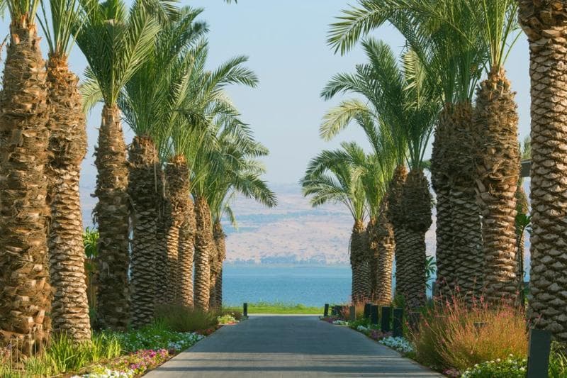 Setai Sea Of Galilee 4