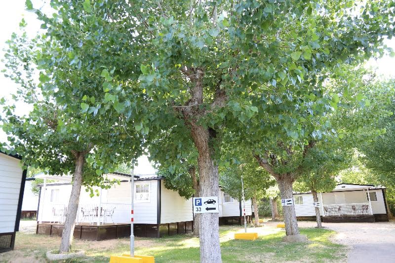 Camping Regio 5
