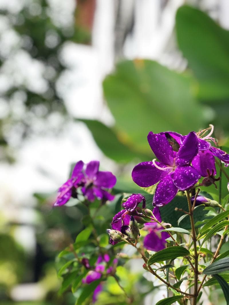 Ideo Phuket Hotel 3
