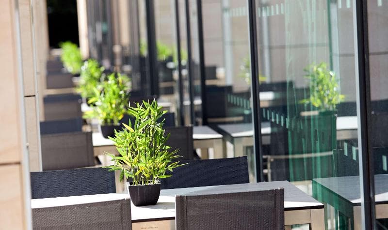 Hilton Garden Inn Doncaster Racecourse 4