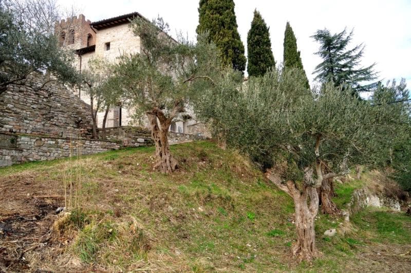 Domus Ecclesiae 3