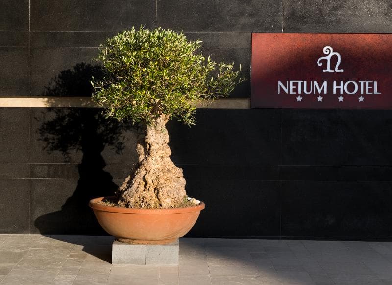 Netum Hotel 2