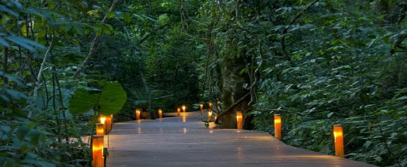 Tierra Guarani 3
