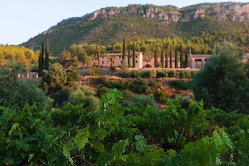 Terra Dominicata - Hotel & Winery - Adults Only 2