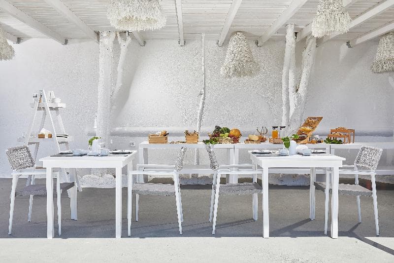 Petri Suites 5