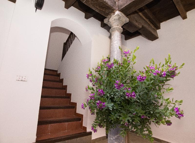 Apartamentos Granada Nahira Suites 3000 5