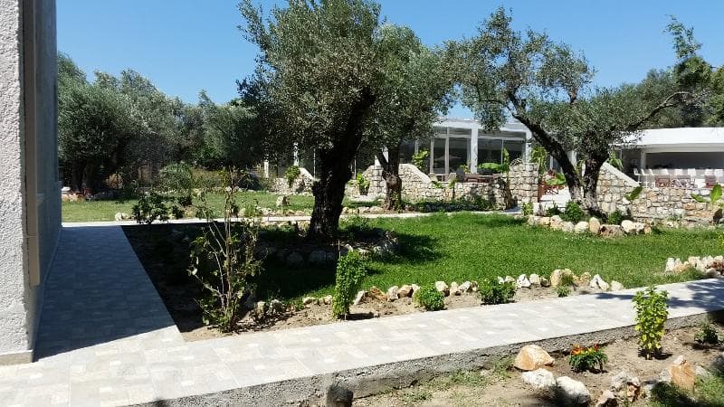 Saint George Resort 5