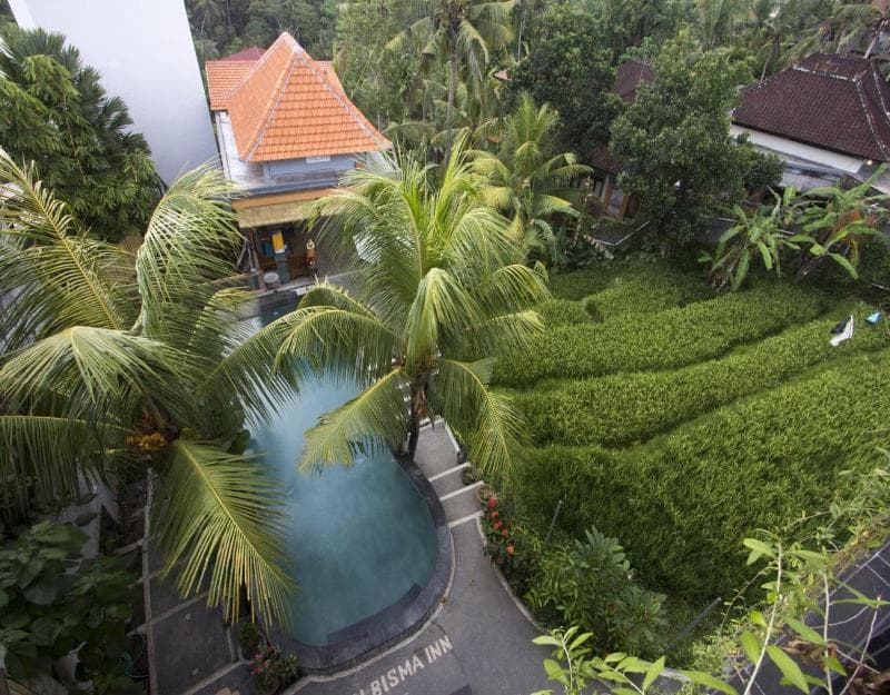 Adi Bisma Inn Ubud photo 1