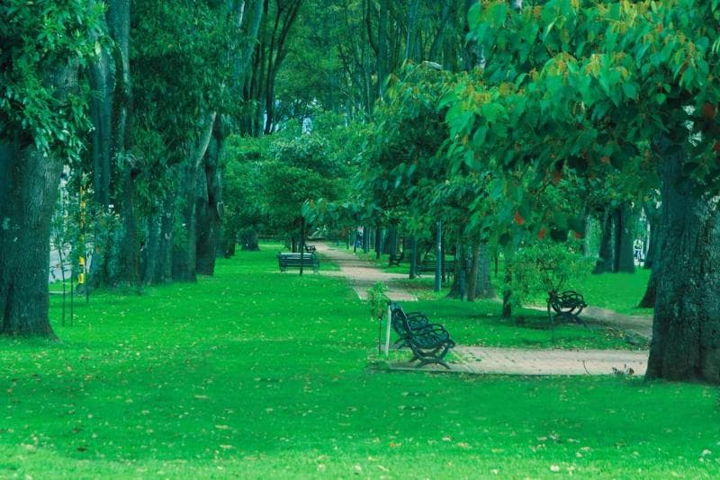 Park Way 4