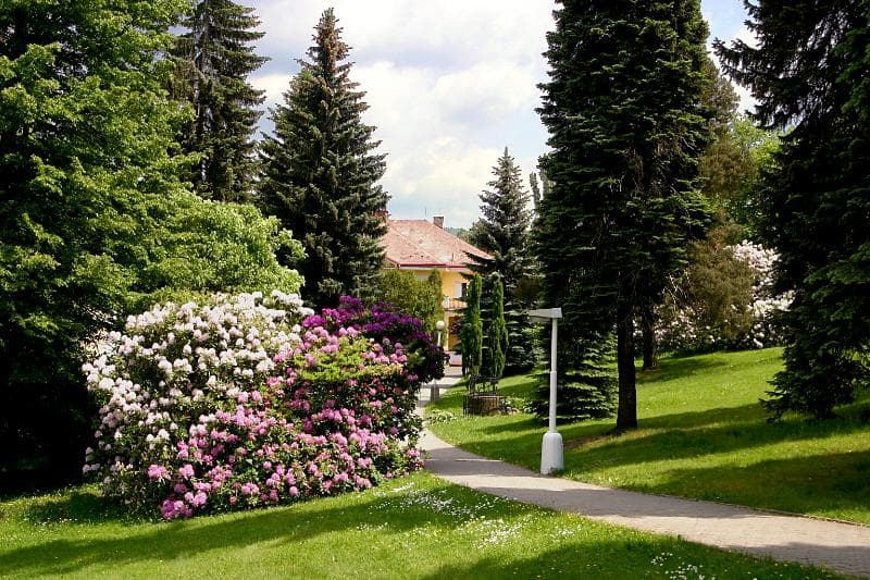 Spa Resort Libverda - Hotel Panorama 3