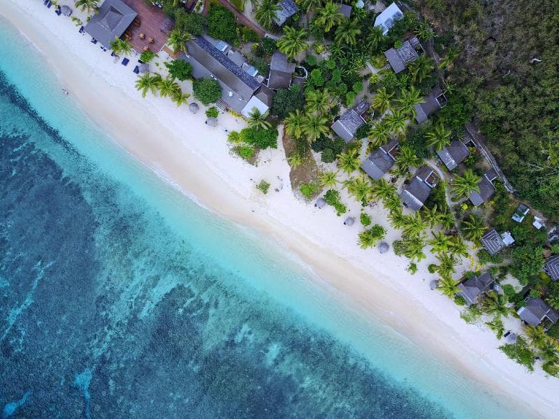 Octopus Resort 3