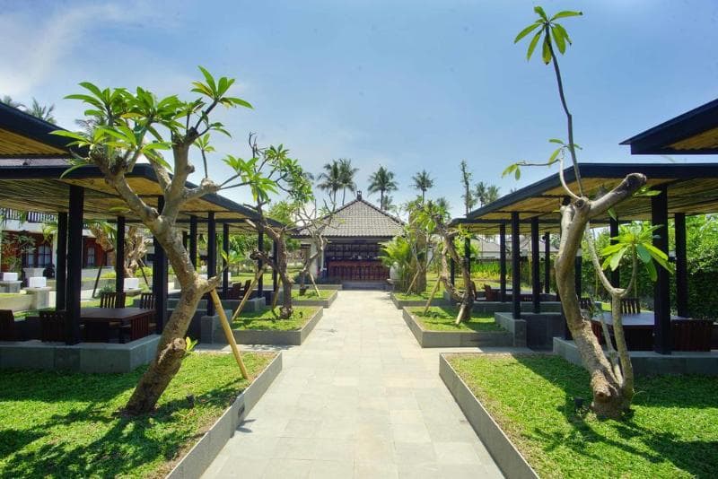 Brits Resort Lovina 2