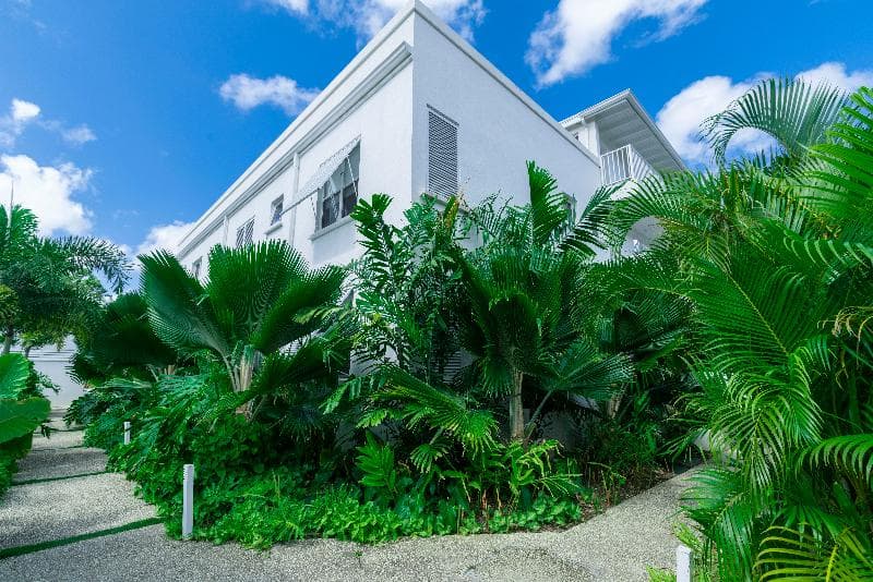 Mullins Grove 3
